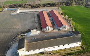 granja-demostracion-5