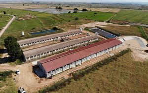 granja-demostracion-7