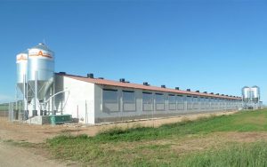 granja-demostracion-8